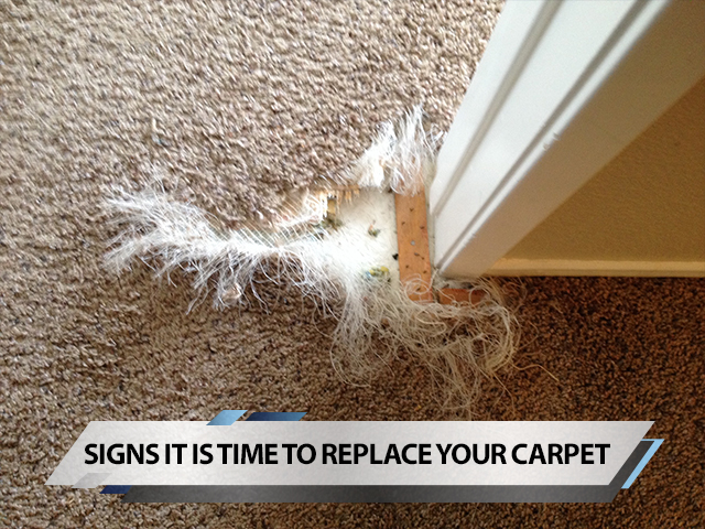 Signs It Is Time To Replace Your Carpet