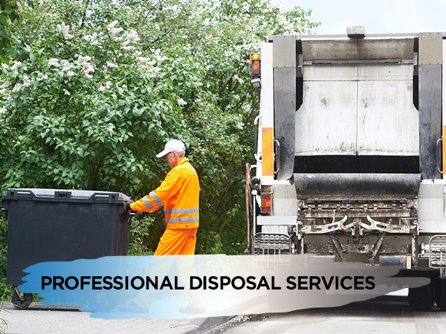 Professional Disposal Services